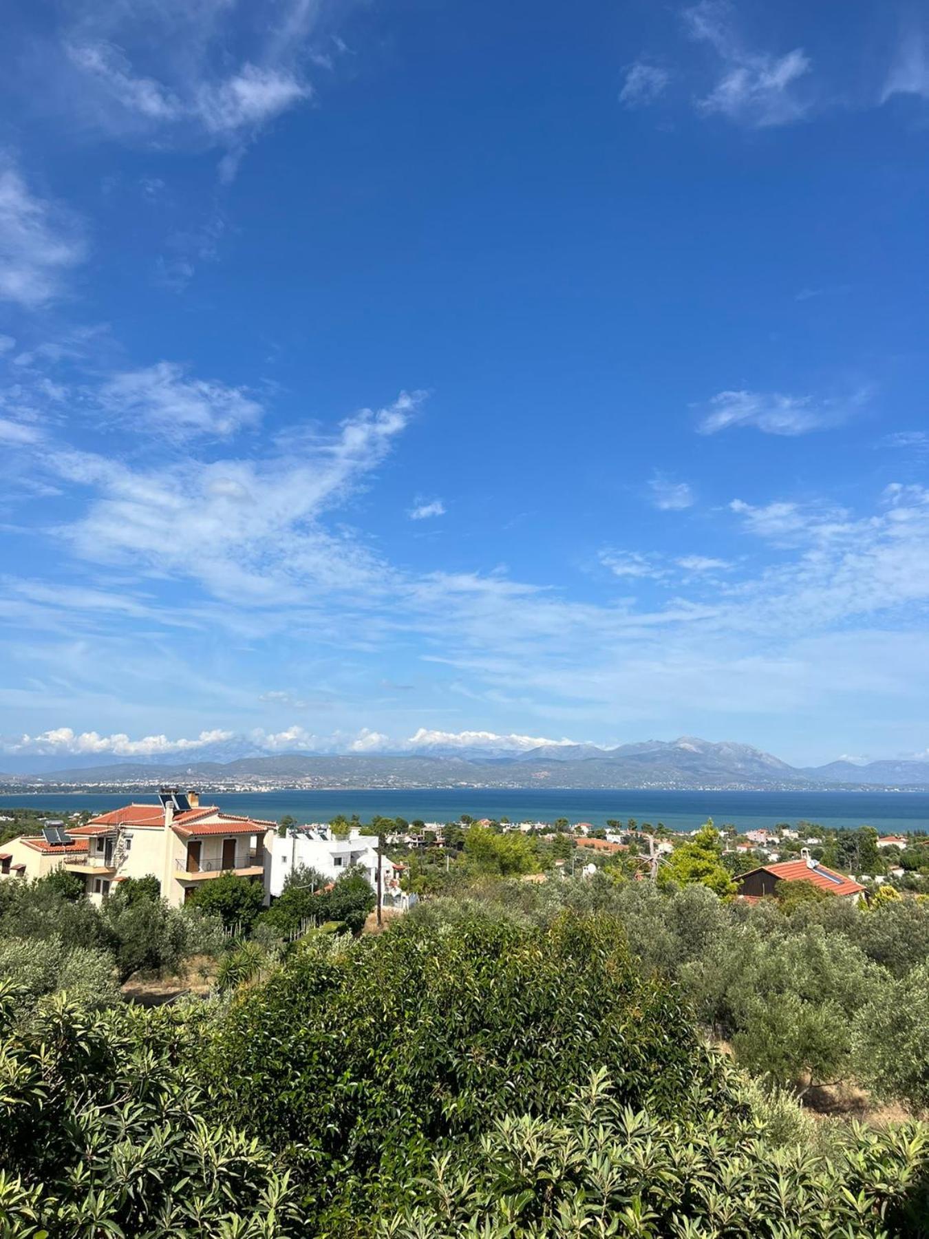 Villa Xenia'S Seaview House Paralia Avlidhos Esterno foto