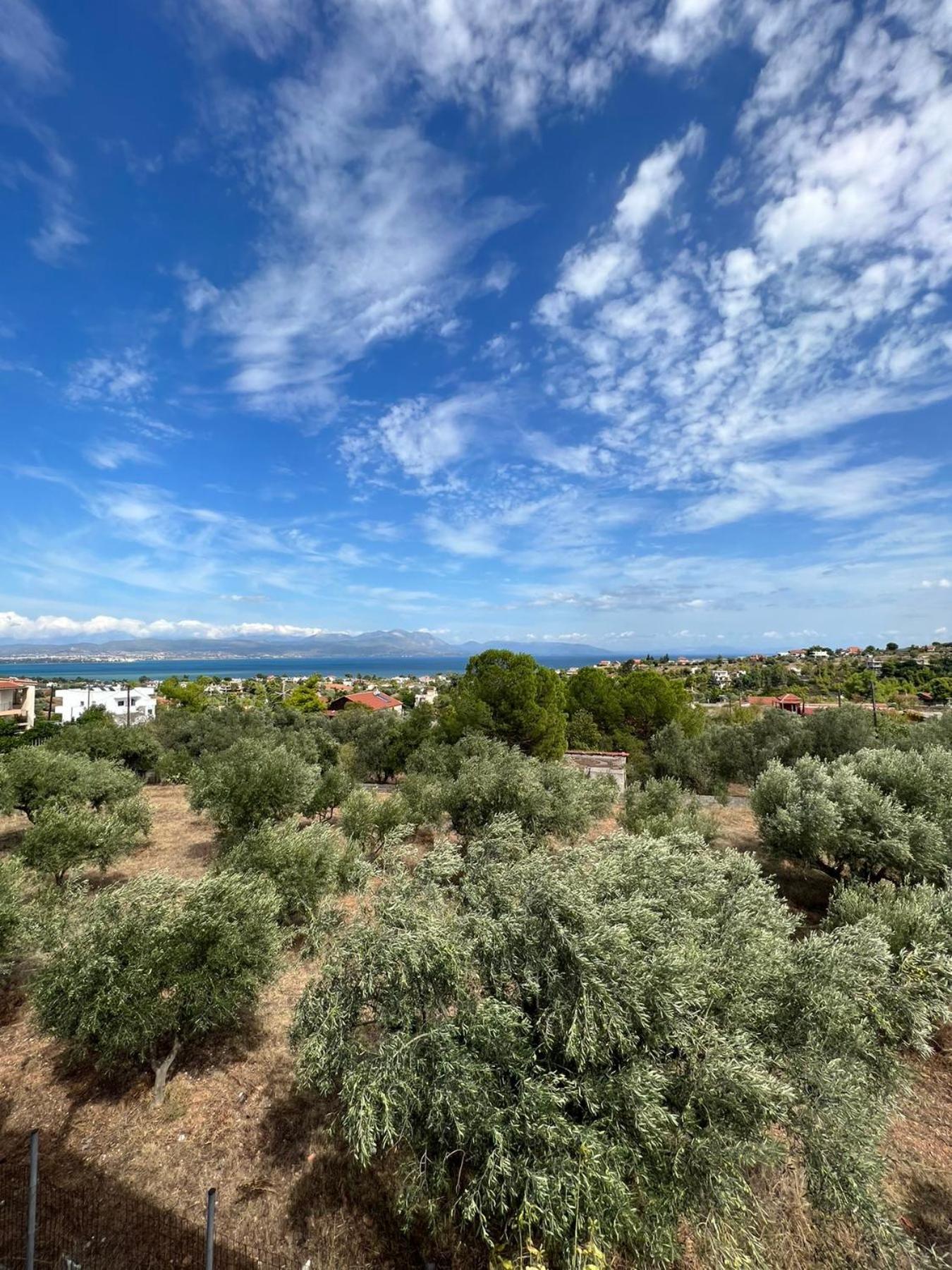 Villa Xenia'S Seaview House Paralia Avlidhos Esterno foto